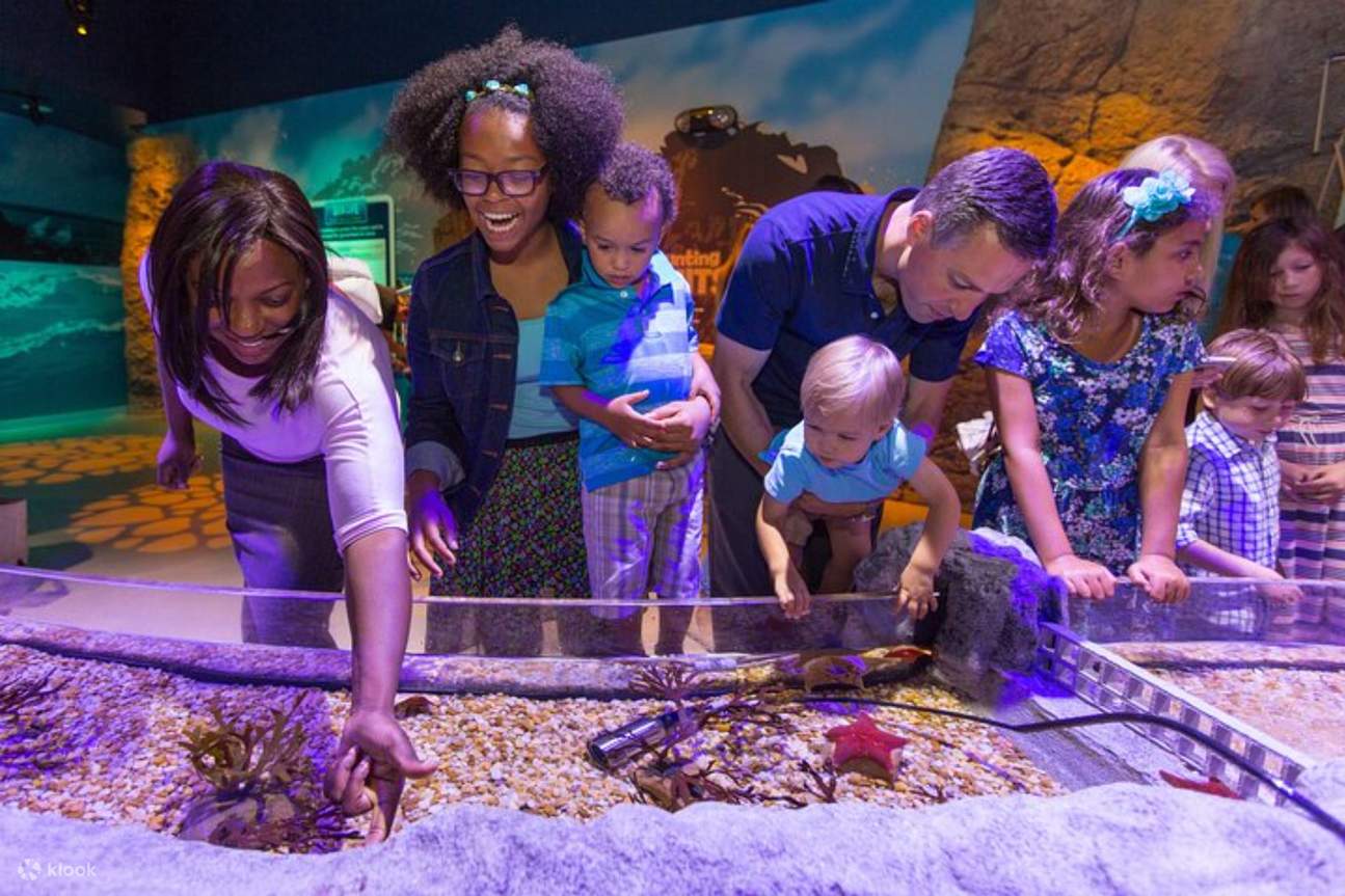SEA LIFE Kansas City: Entry Ticket - Klook