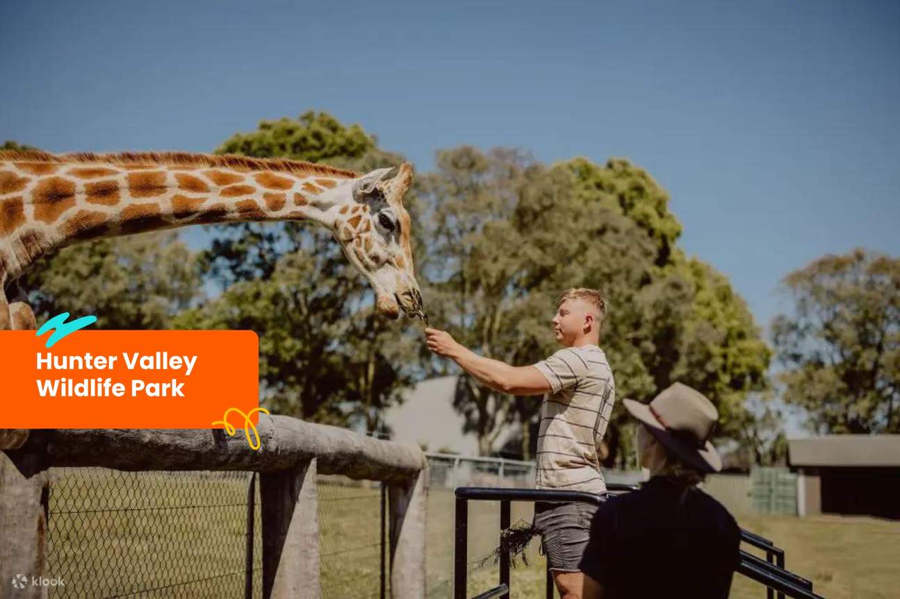 클룩 시드니 패스