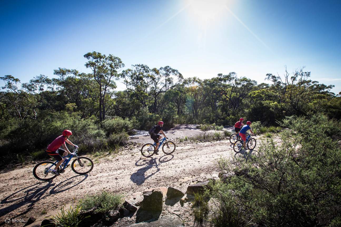 The Oaks Beginner Self guided Bike Hire Trail in the Blue Mountains Klook India