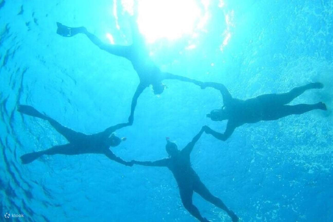 Lặn biển ngắm san hô ở Đảo Tiran, kèm bữa trưa & đưa đón - Sharm El Sheikh