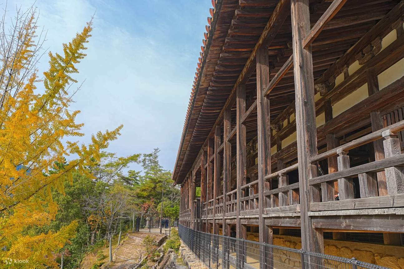 Excursió d'1 dia a Miyajima i Iwakuni: Explorant els llocs japonesos ...