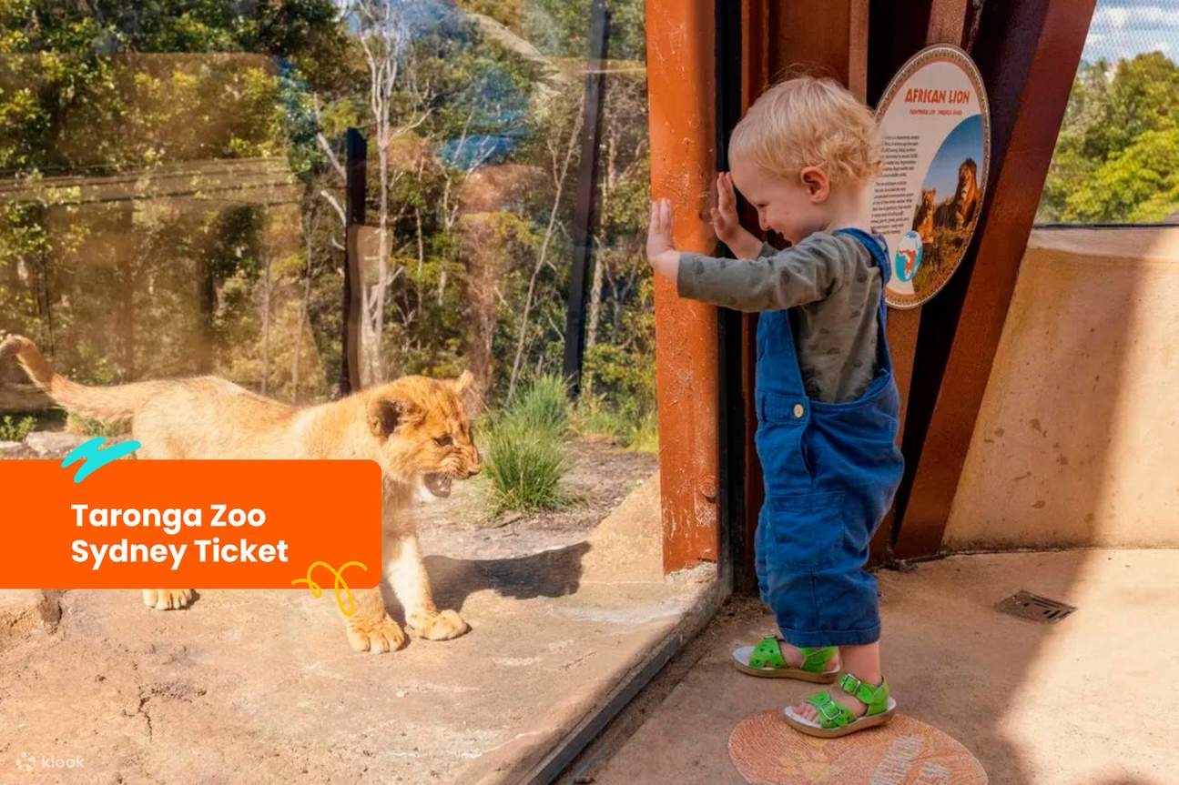 Ticket für den Taronga Zoo Sydney