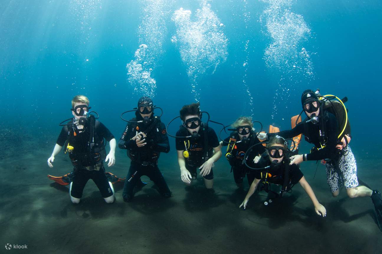 PADI OW Diver Course in Bali PADI 5 Star Dive Resort Klook United States PADI OW Diver Course in Bali PADI 5 Star Dive Resort Klook United States