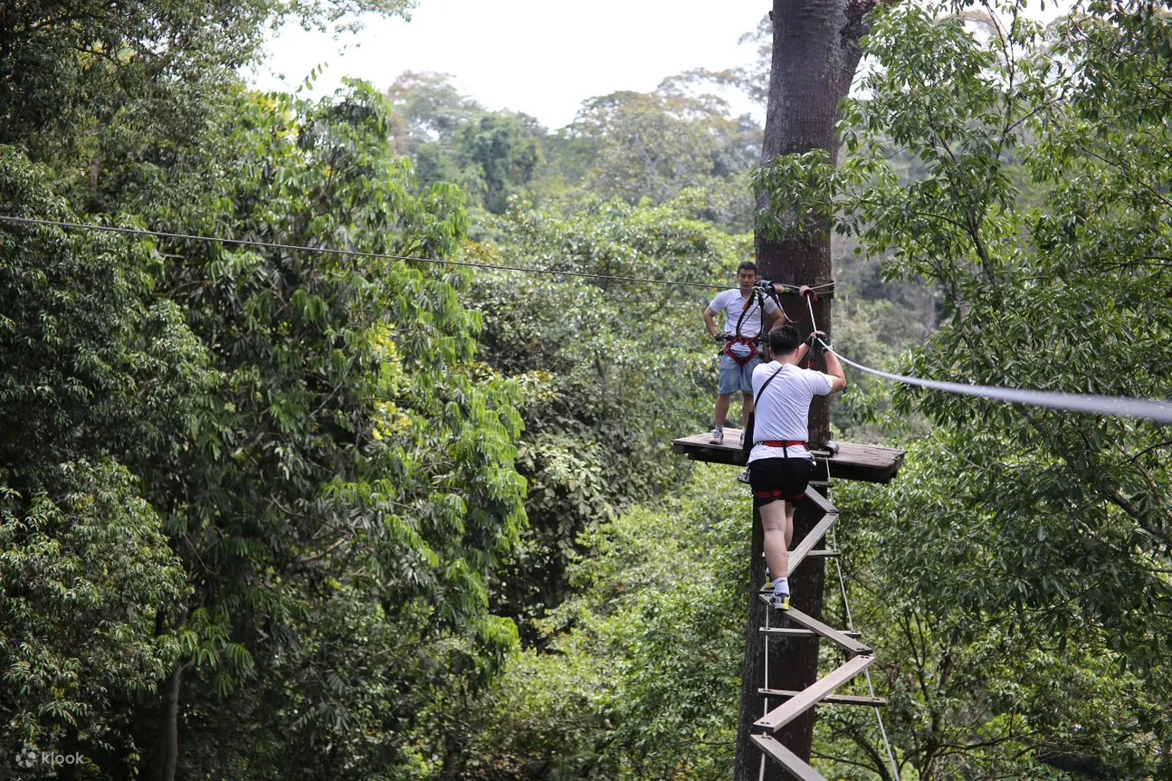在 skytrex adventure melaka 穿越曲折吊桥的人