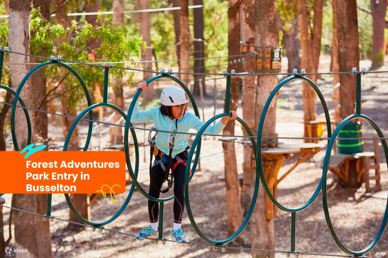 Eintritt in den Forest Adventures Park in Busselton