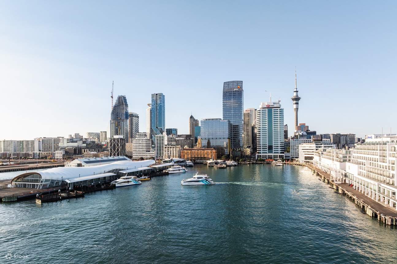 반짝이는 항구를 유유자적하게 항해하며 아름다운 오클랜드 시내의 숨 막힐 듯한 전경을 감상하세요.