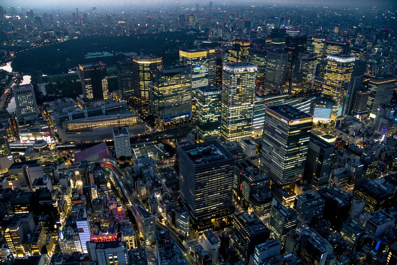 ヘリで東京の夜景を体験 東京ナイト遊覧 Klook
