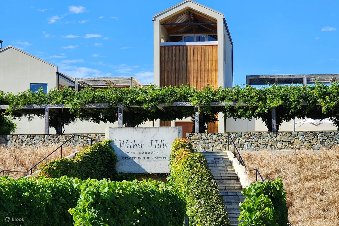 Wither Hills Cellar Door 令人惊叹的美景、优质的葡萄酒、现代建筑、完美的品酒体验