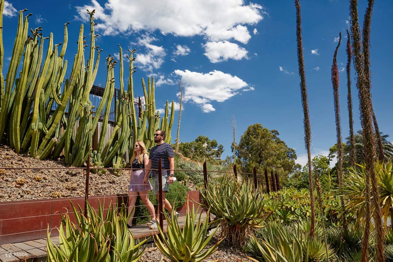 เยี่ยมชมความสวยงามของสวน Guilfoyle's Volcano Garden
