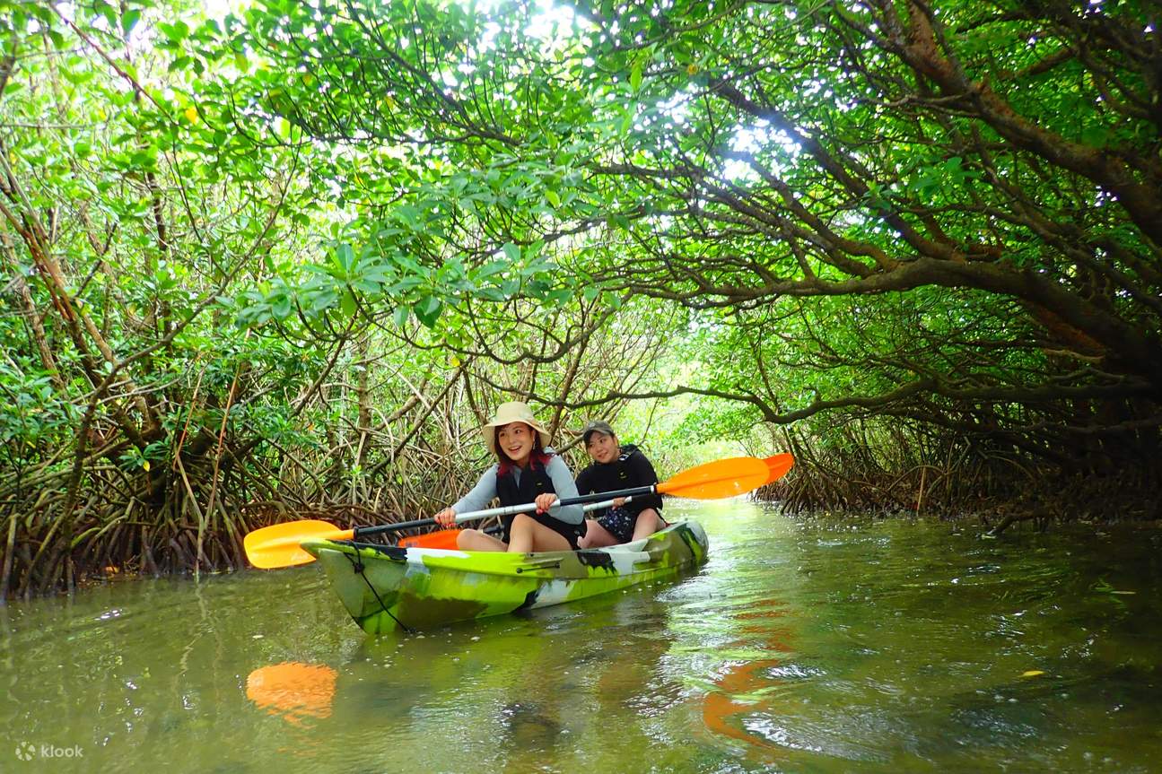 [Đảo Ishigaki/1 ngày] Trọn vẹn một ngày khám phá biển và sông! Chèo SUP/ca nô tại rừng ngập mặn (di sản thiên nhiên) & Lặn biển ngắm hang động Xanh