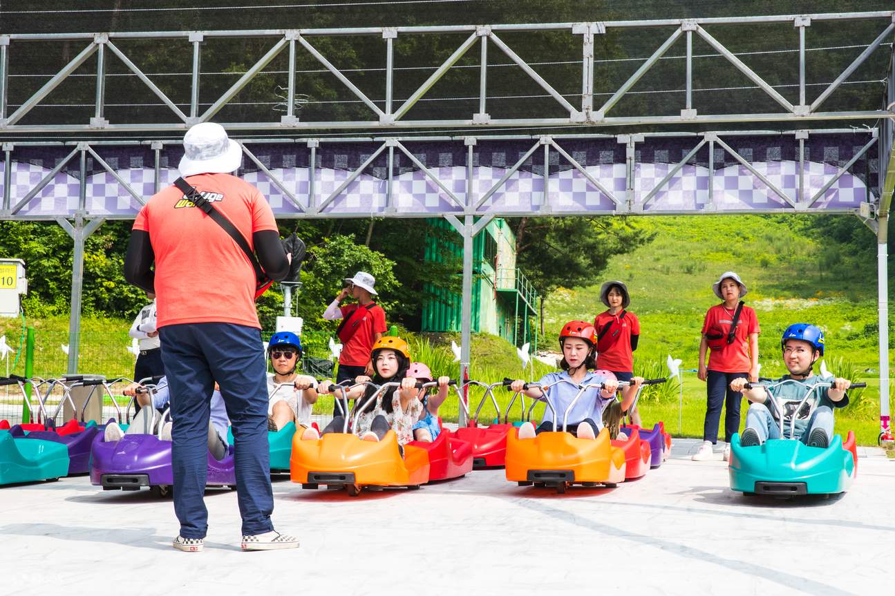 Vivaldi Park Luge Ride & Nami Island Day Tour from Seoul - Klook ...