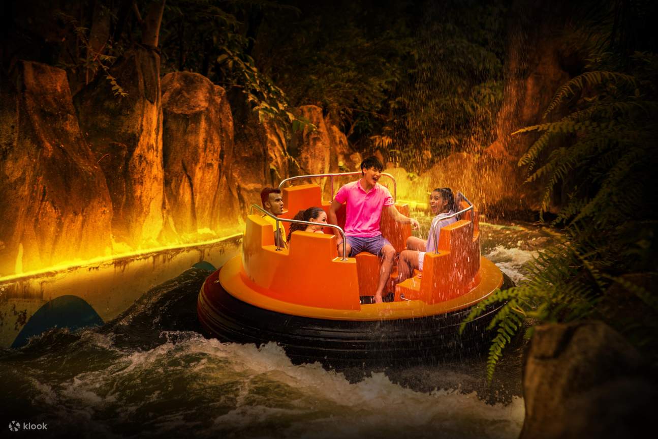 manèges aquatiques nocturnes