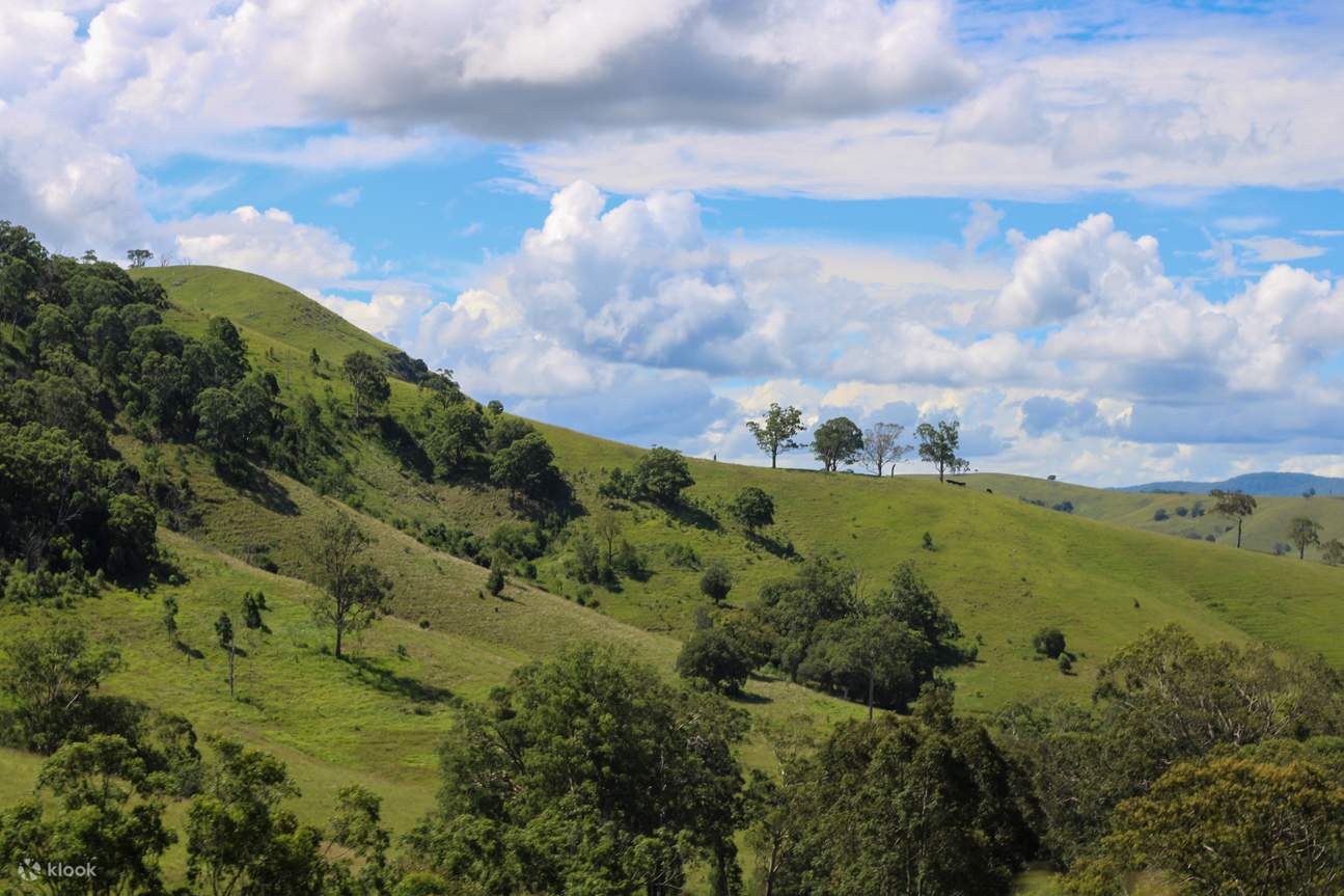 Australian Country Adventure - Klook