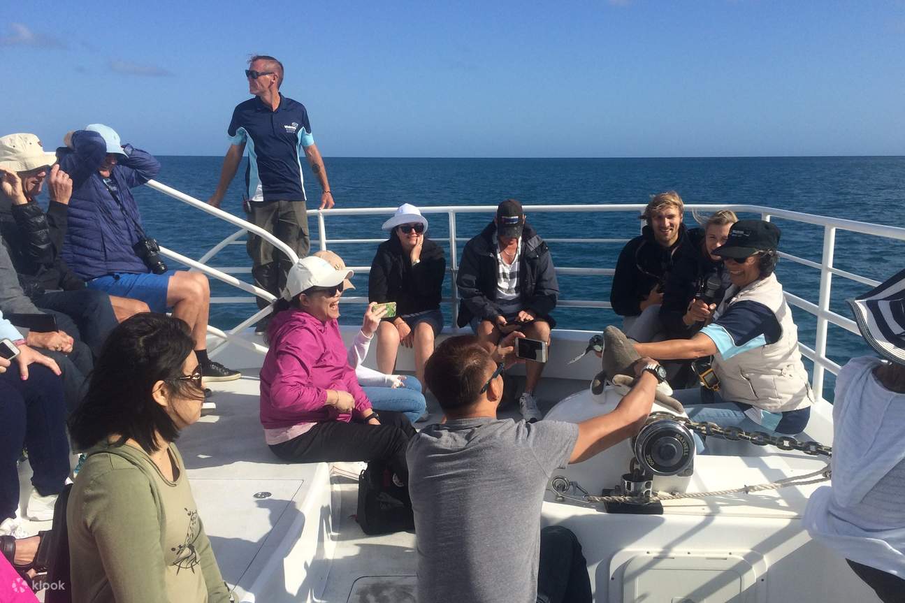 デッキでのホエールウォッチング