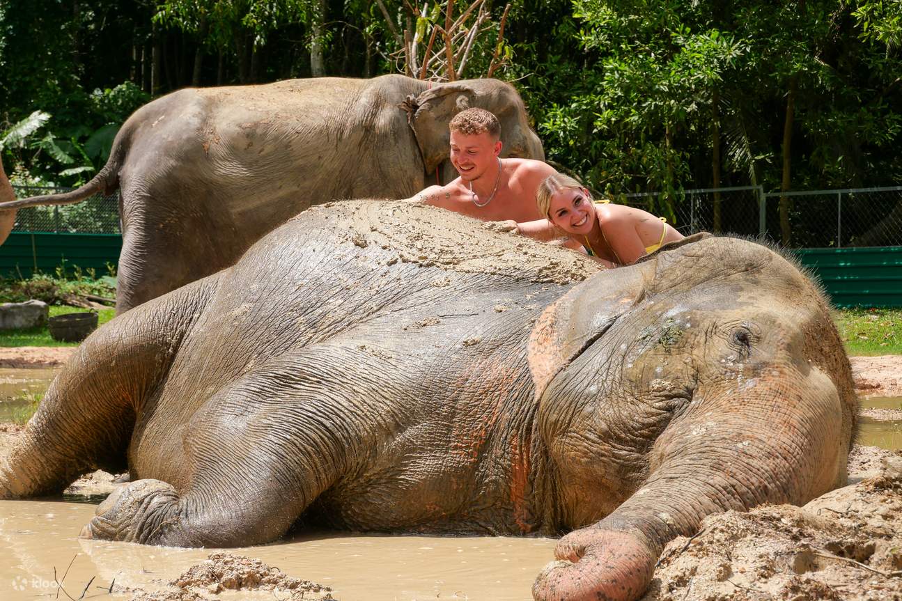 Lawatan Peribadi Krabi : Mandi Gajah & ATV Air Terjun Huay Tho