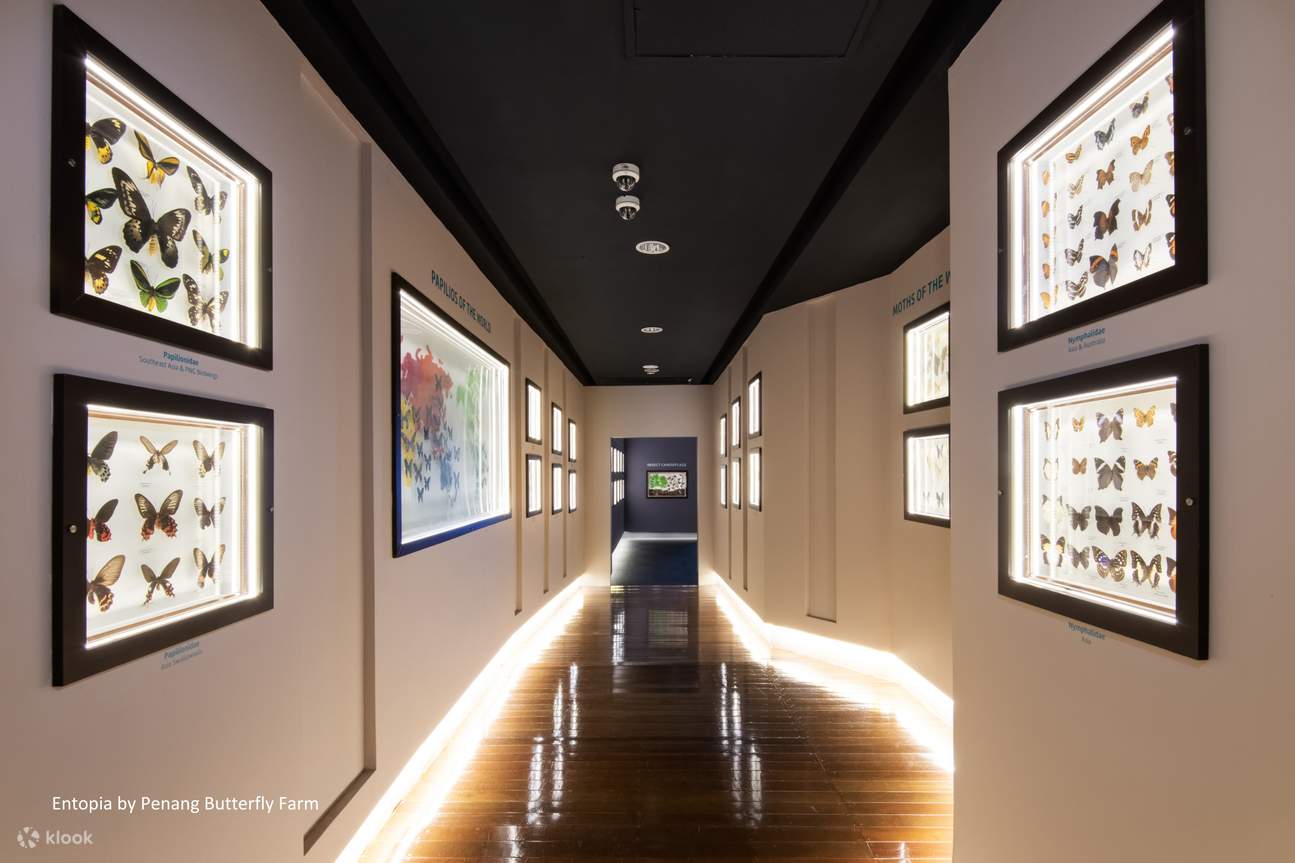 Billet pour Entopia by Penang Butterfly Farm