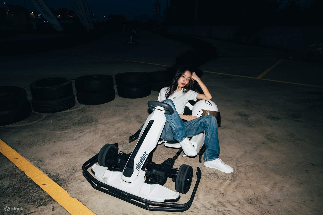 Central Village E-Gokart