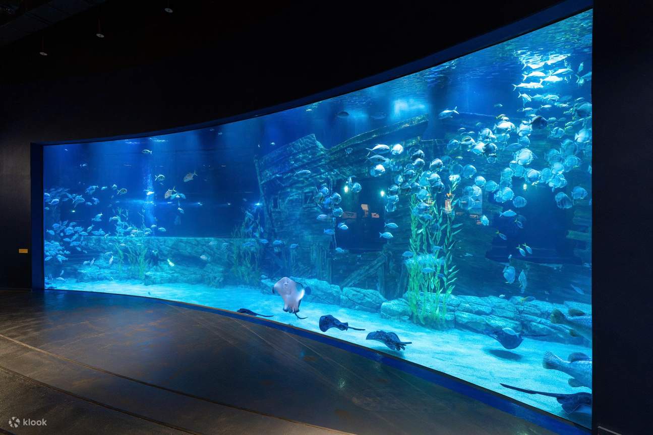 Biglietto per Lotte World Aquarium Hanoi