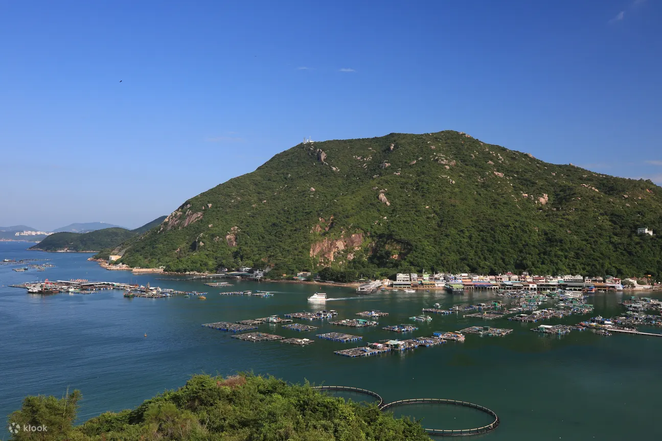南丫岛渔场到餐桌盛宴半日游