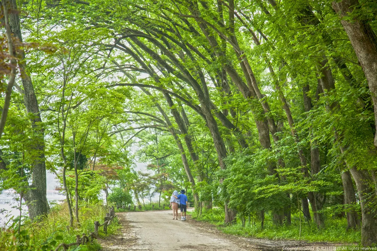 南怡岛门票