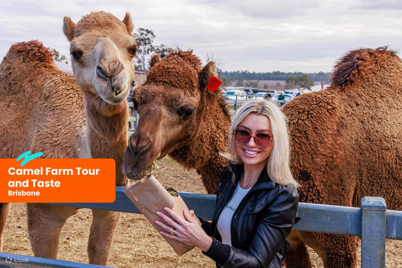 Lawatan dan Rasa Ladang Unta