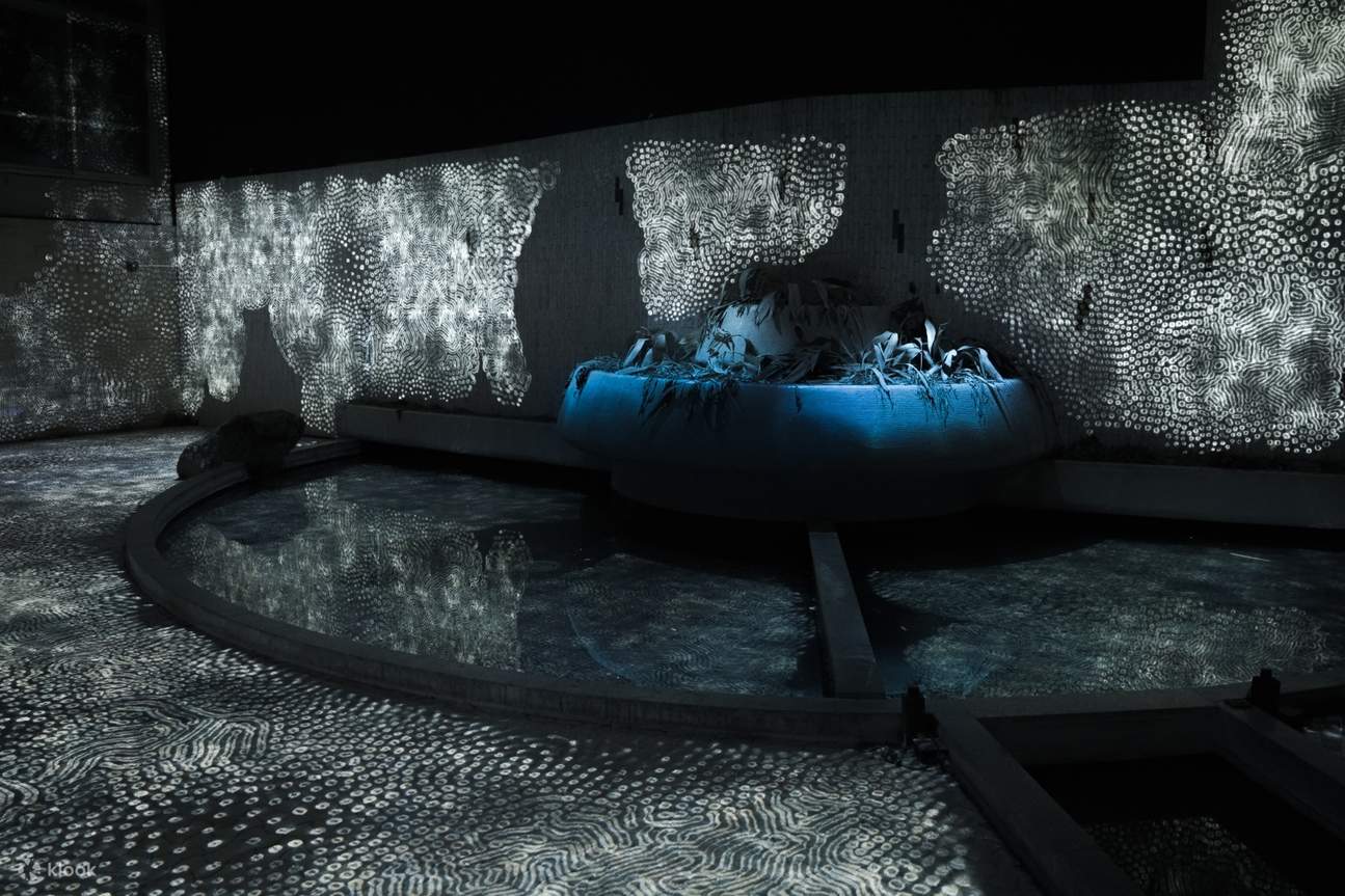 teamLab Ruins and Heritage: Rinkan Spa & Tea Ceremony Kyushu