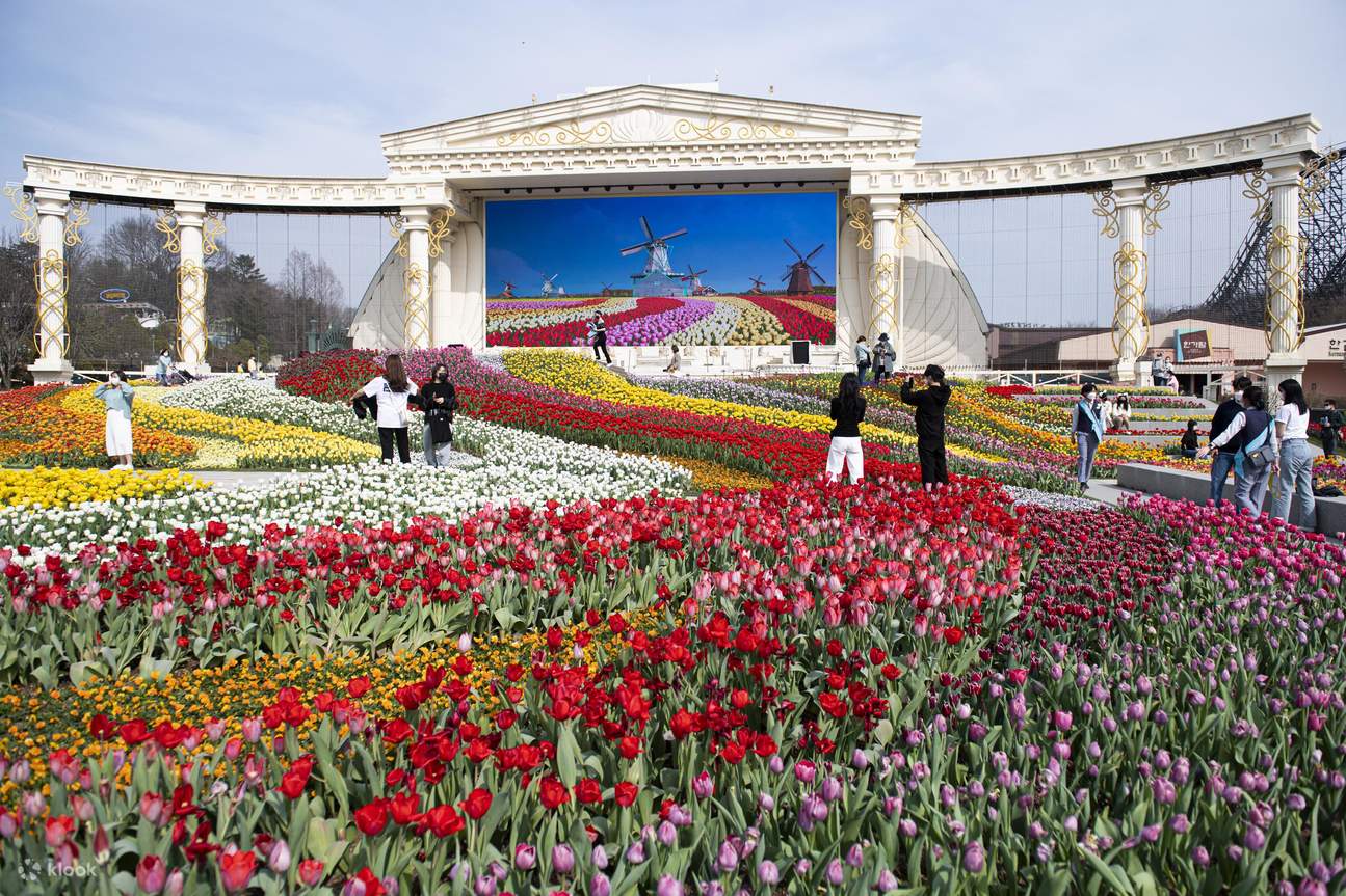 Korea Ultra Theme Park Day Tour: EverLand + Lotte World in One Day - Klook  United States