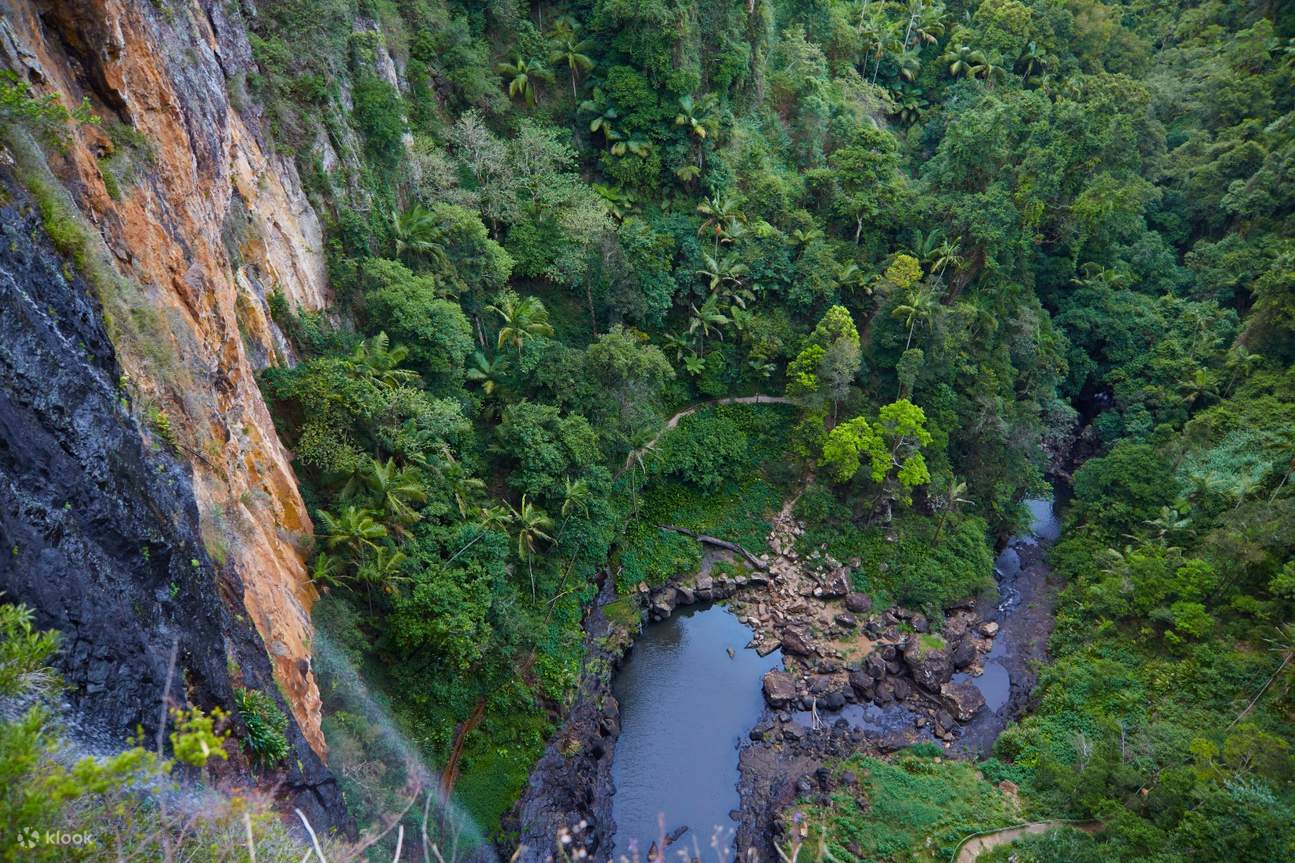 1 Day Springbrook Private Car Charter from Gold Coast Klook Philippines