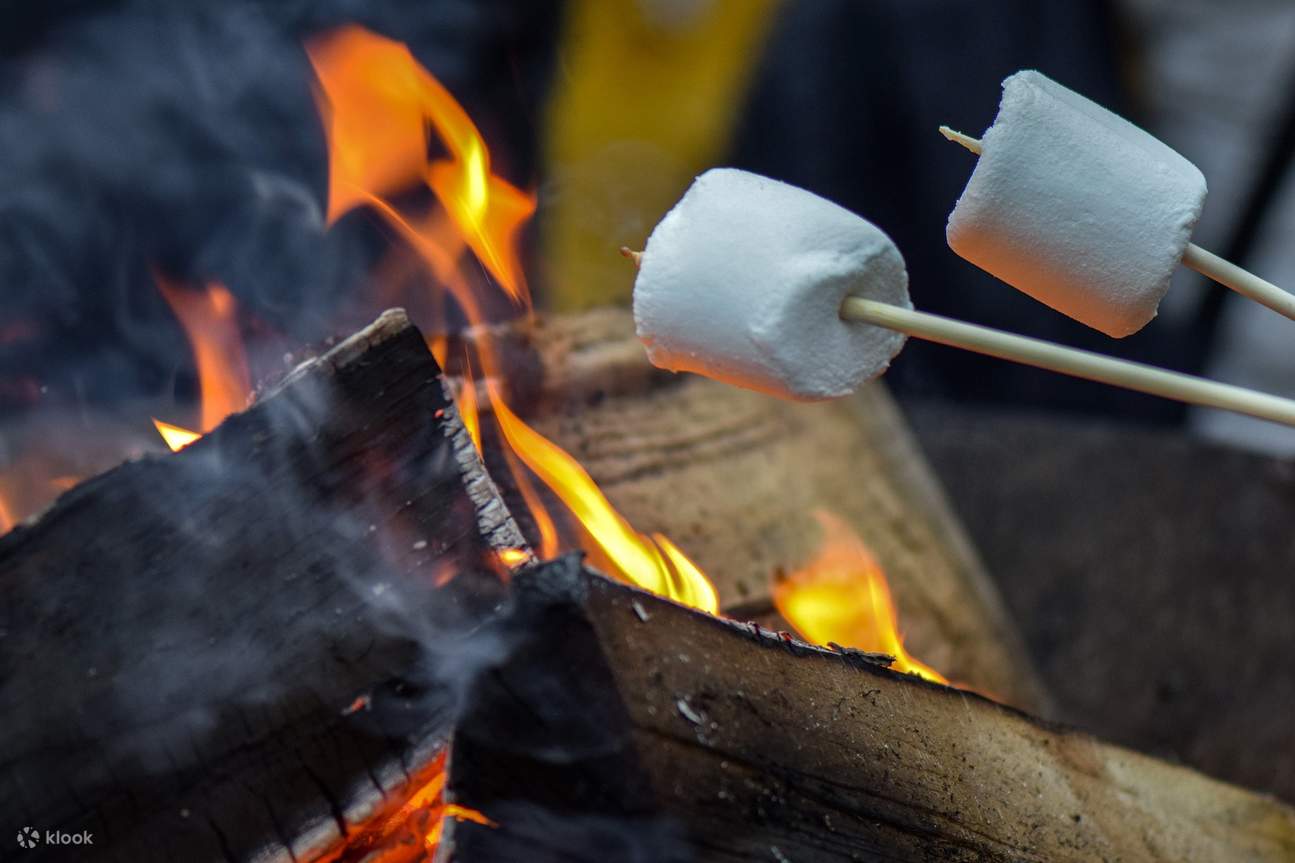 Barbekyu Lappish Malam