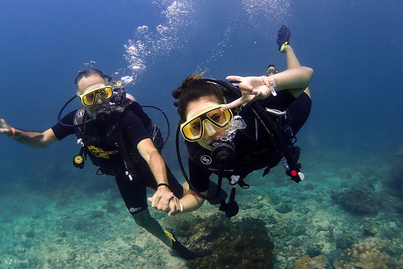 Stringi legami e crea ricordi mentre tu e i tuoi nuovi amici condividete la gioia di scoprire il mondo sottomarino