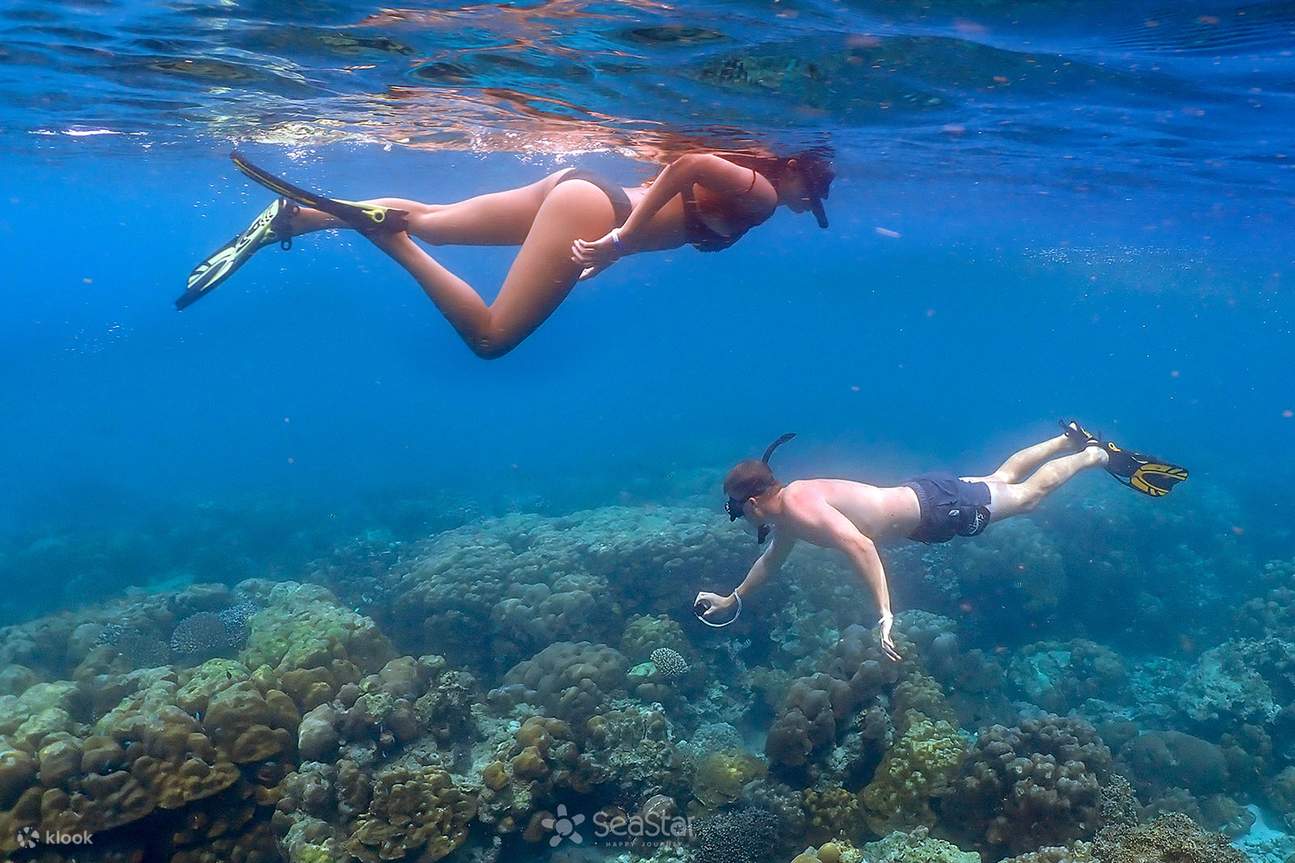 Dari Krabi: Lawatan Snorkeling Kepulauan Surin dengan Makanan