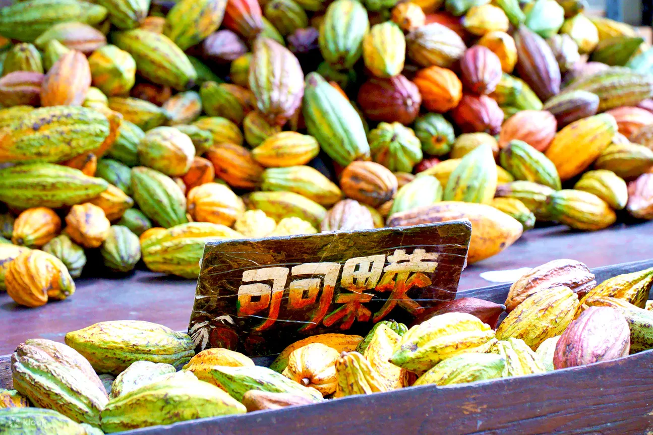 Ashin Chocolate