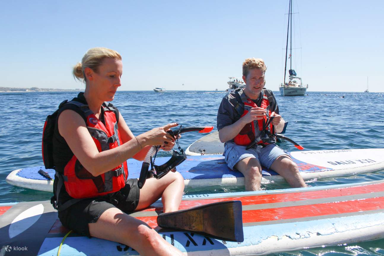 Menyelamlah untuk meneroka hidupan marin yang ditawarkan oleh aktiviti ini.