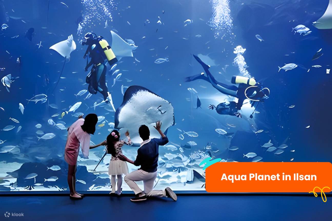 บัตร Klook Pass โซล