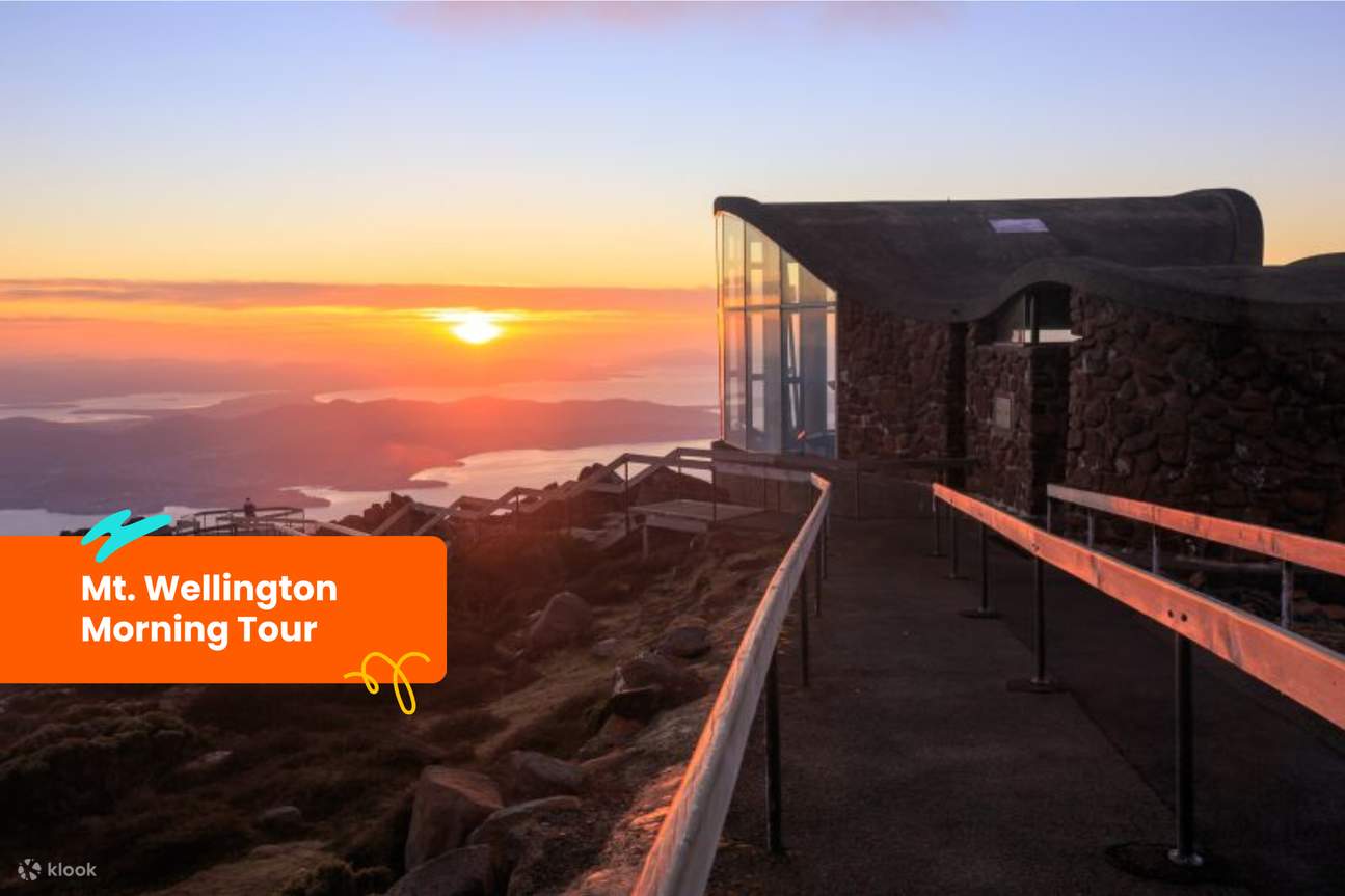 Утренний тур на гору Веллингтон из Хобарта