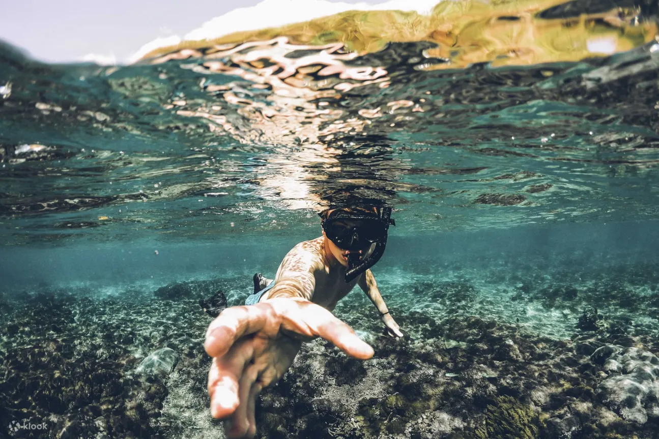 海底的人