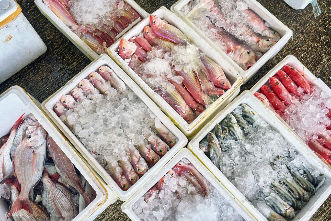 From Sea to Table Aberdeen Wholesale Fish Fresh Seafood Market Klook