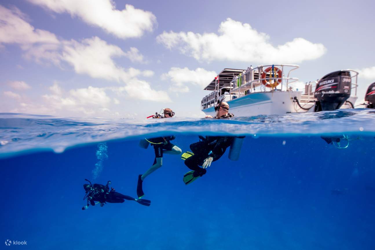 Beginners Scuba Diving Experience in Fujairah Klook