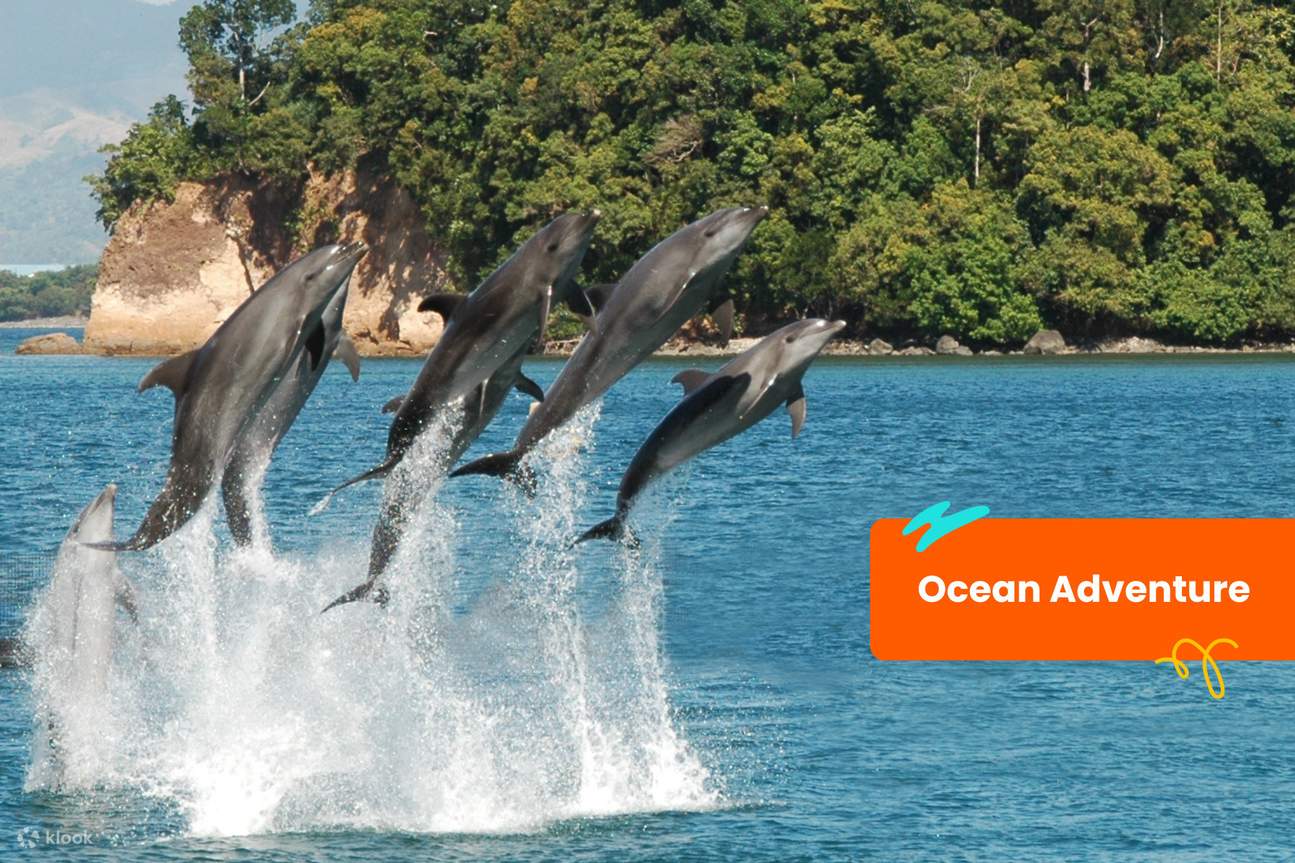 Klook客路通票 苏比克-克拉克