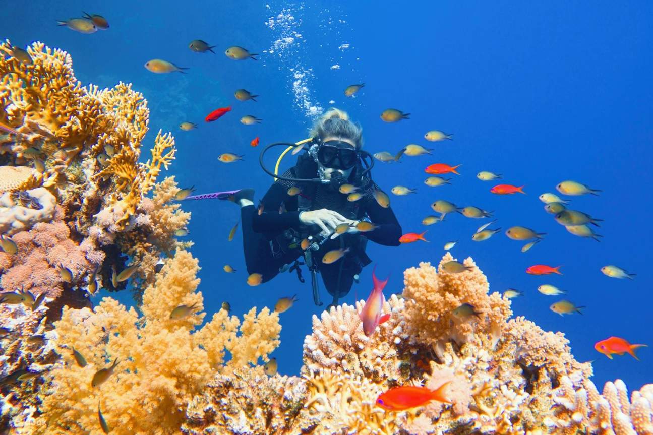 Sheikh Sub Avventura di Immersioni Subacquee Professionali con Pranzo – Sharm El ...