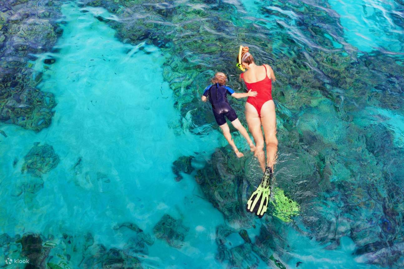 Excursion de snorkeling au Jardin de Corail & baptême de plongée avec transfert - Marsa Alam