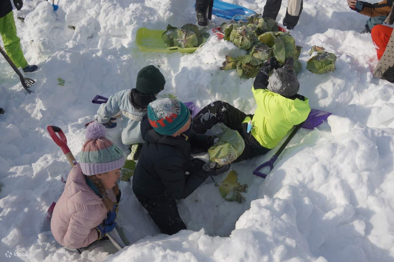 Winter Cabbage Harvest Adventure & Snow Picnic Klook United Kingdom