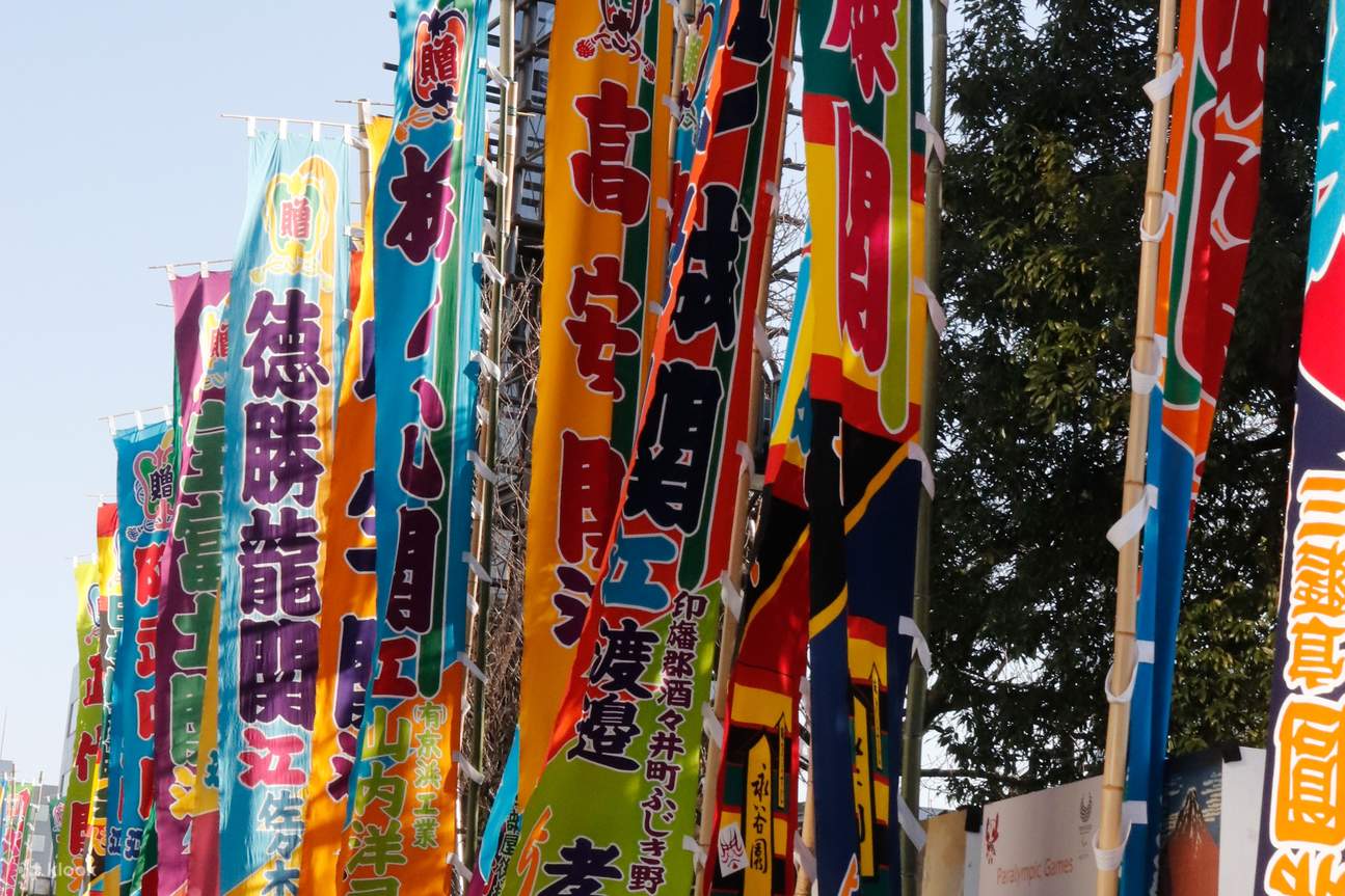 Fukuoka city kyushu grand sumo tournament viewing half day tour