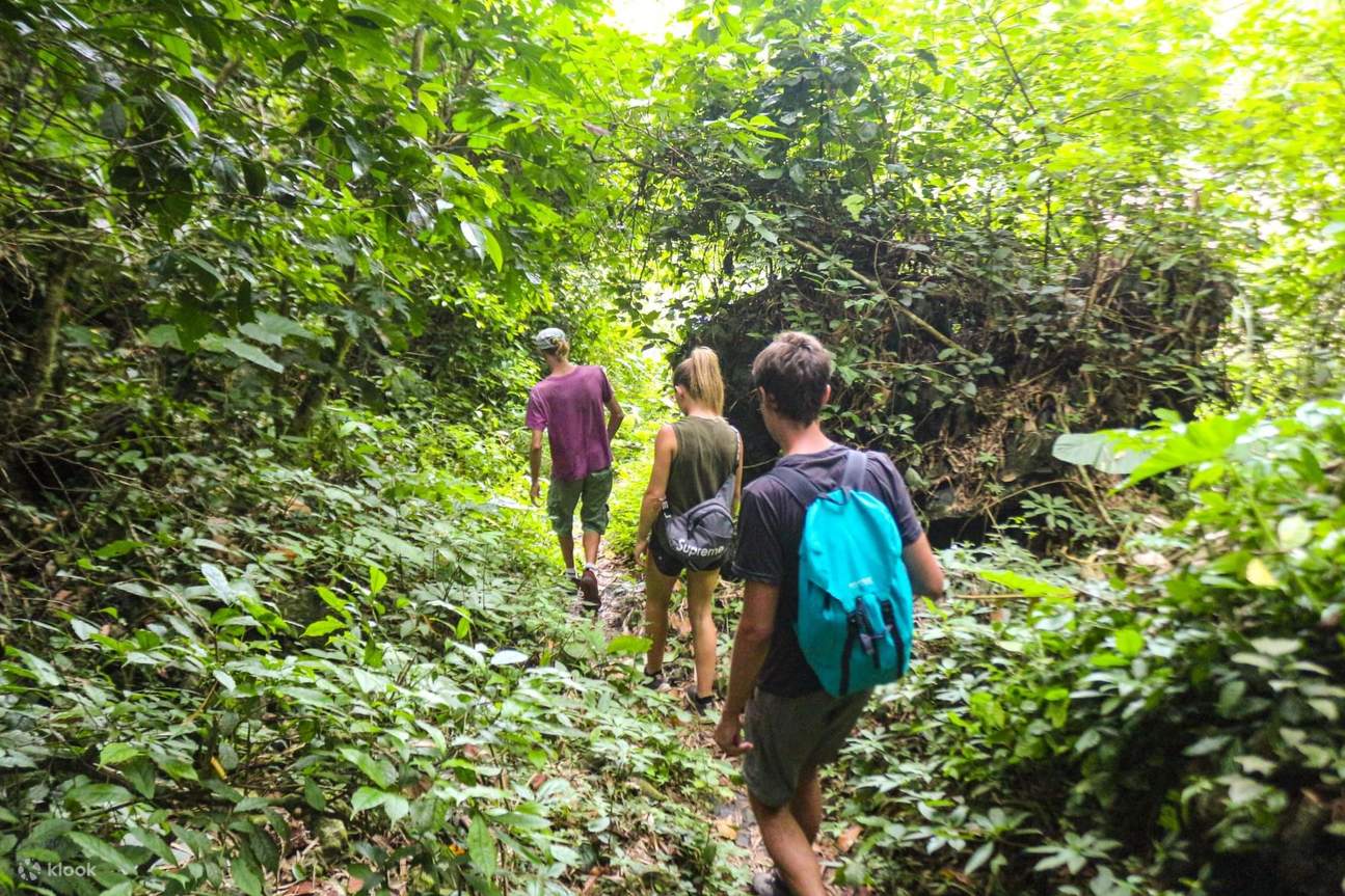 Full Day Cat Ba National Park Trekking Tour from Cat Ba Island, Vietnam