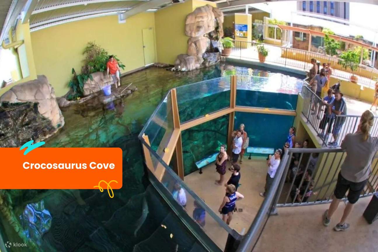 Crocosaurus Cove-Ticket