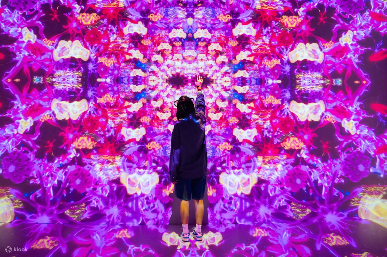 House of Hype门票