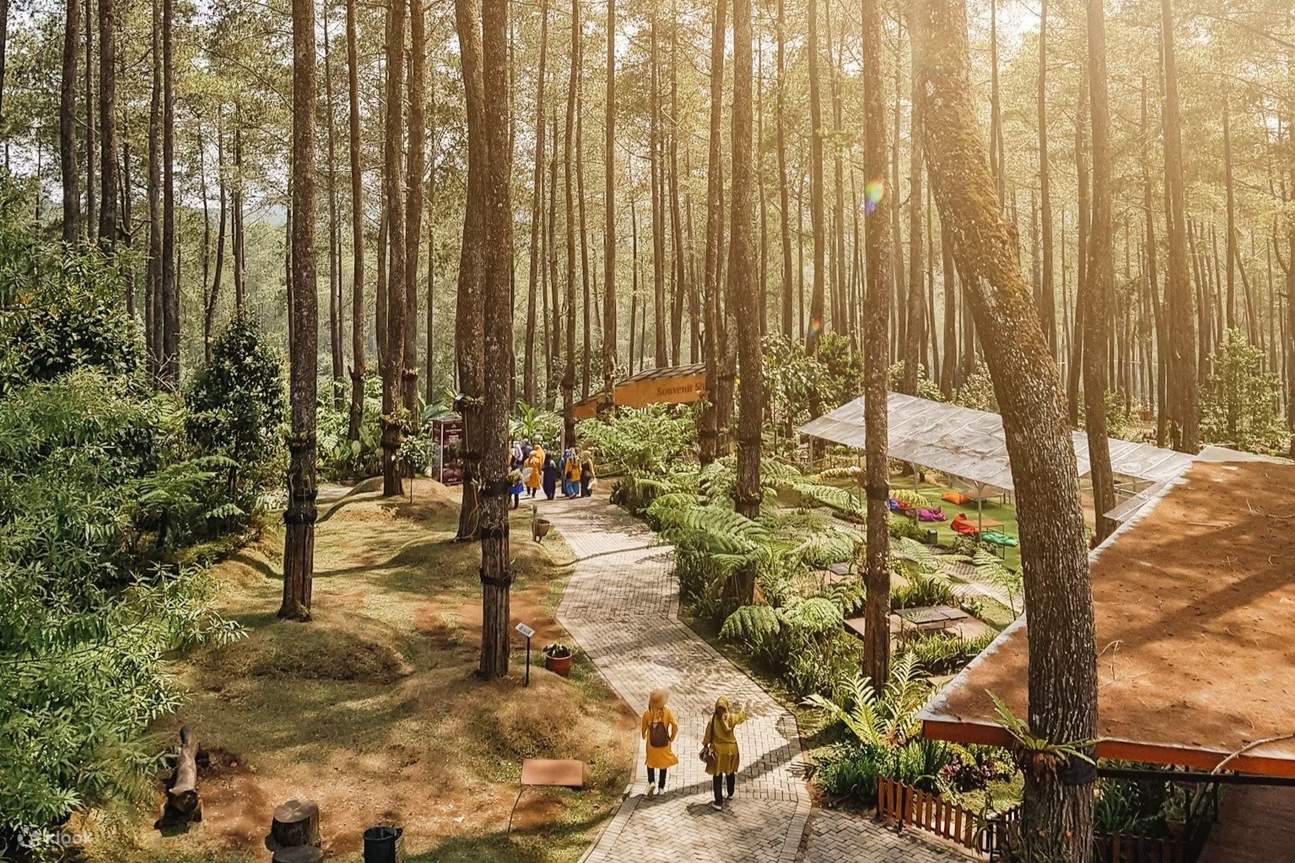 Tiket Orchid Forest Cikole di Klook