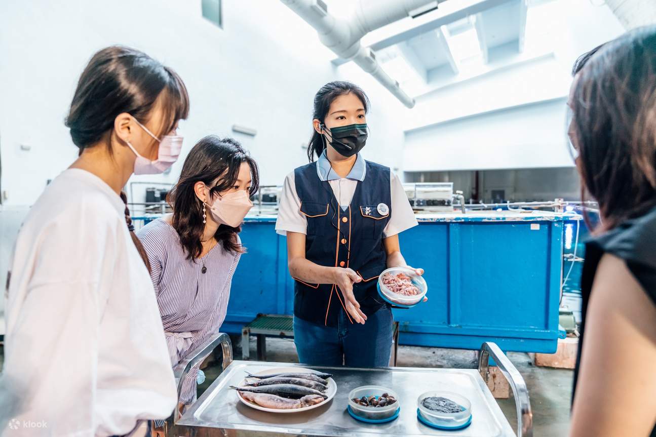 夜の水族館にお泊まり