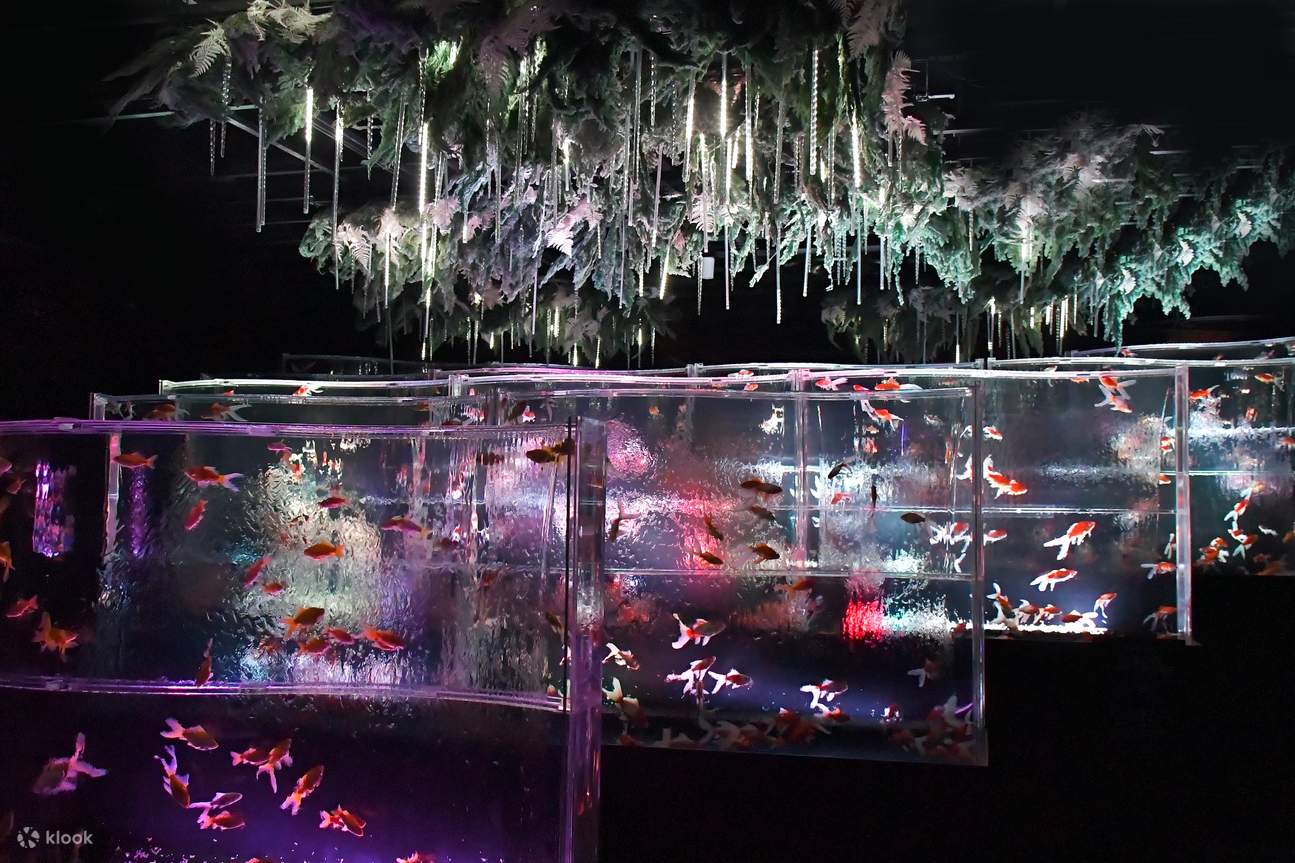 Entrada para el Museo Art Aquarium GINZA