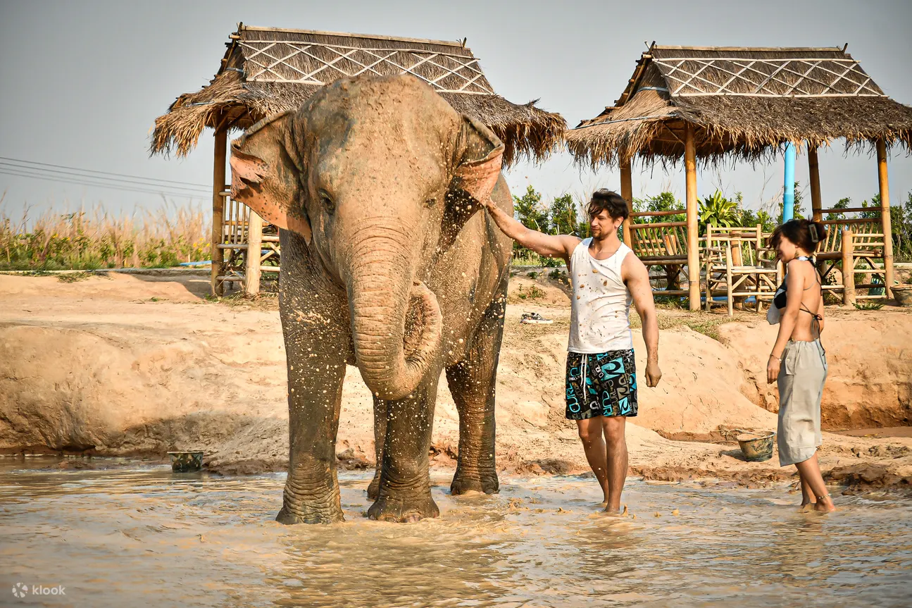 Walk by with elephant